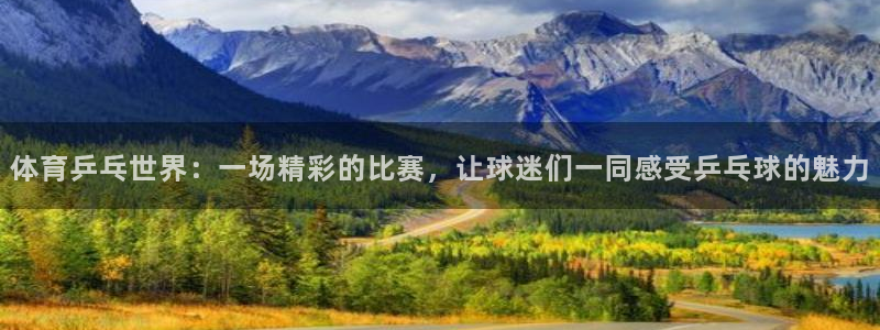 体育乒乓世界：一场精彩的比赛，让球迷们一同感受乒乓球的魅力