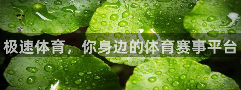 极速体育，你身边的体育赛事平台