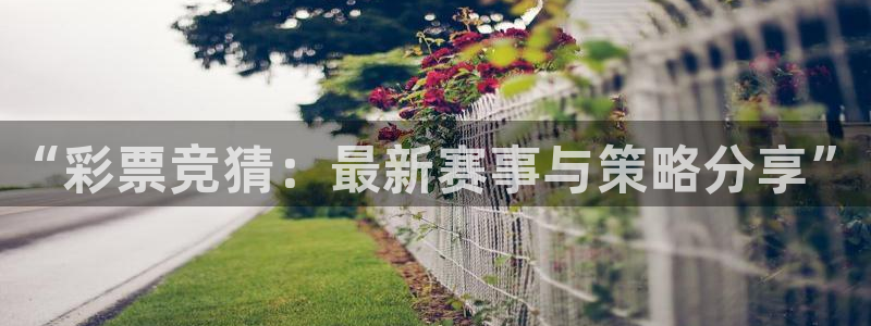 “彩票竞猜：最新赛事与策略分享”