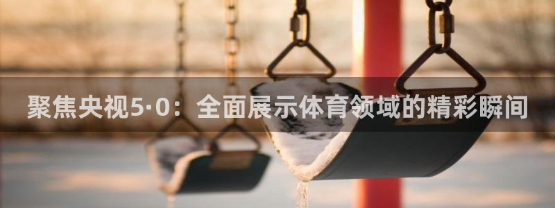 聚焦央视5·0：全面展示体育领域的精彩瞬间