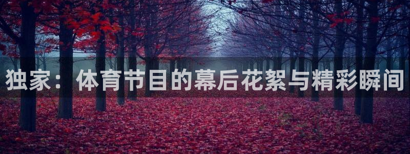 独家：体育节目的幕后花絮与精彩瞬间