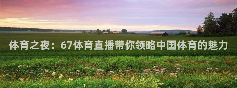 体育之夜：67体育直播带你领略中国体育的魅力