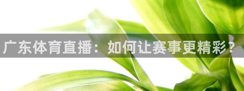广东体育直播：如何让赛事更精彩？