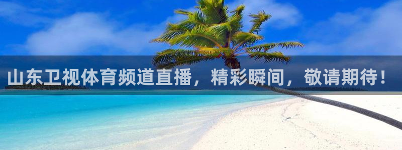 山东卫视体育频道直播，精彩瞬间，敬请期待！
