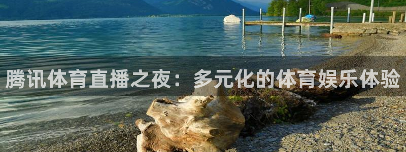 腾讯体育直播之夜：多元化的体育娱乐体验