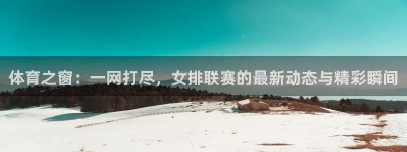 体育之窗：一网打尽，女排联赛的最新动态与精彩瞬间