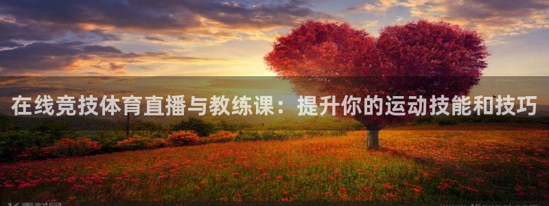 在线竞技体育直播与教练课：提升你的运动技能和技巧