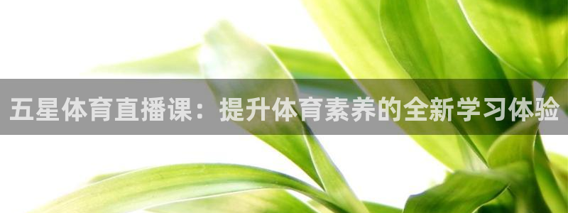 五星体育直播课：提升体育素养的全新学习体验