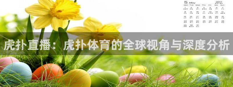 虎扑直播：虎扑体育的全球视角与深度分析