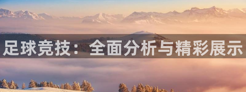 足球竞技：全面分析与精彩展示