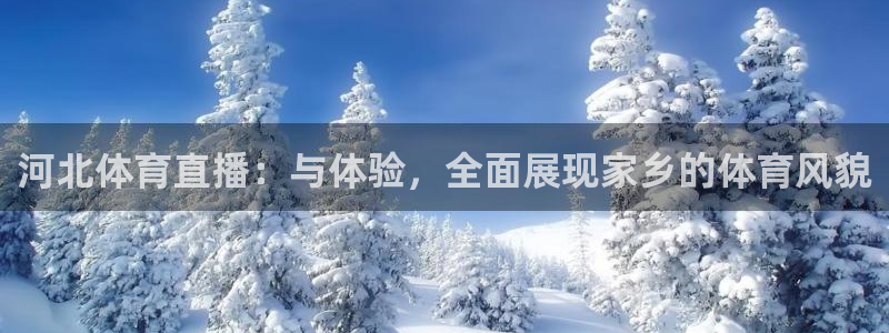河北体育直播：与体验，全面展现家乡的体育风貌