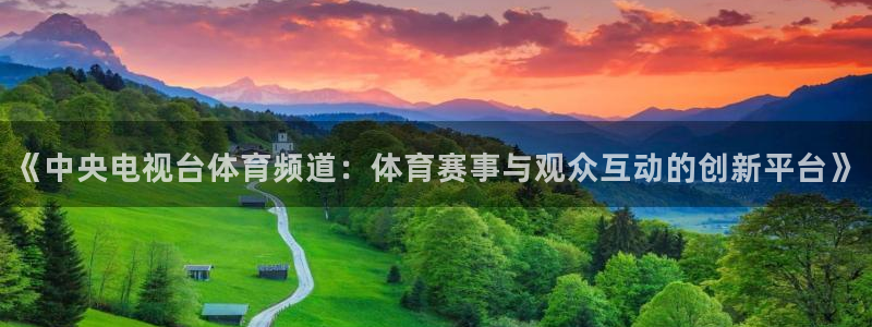 《中央电视台体育频道：体育赛事与观众互动的创新平台》
