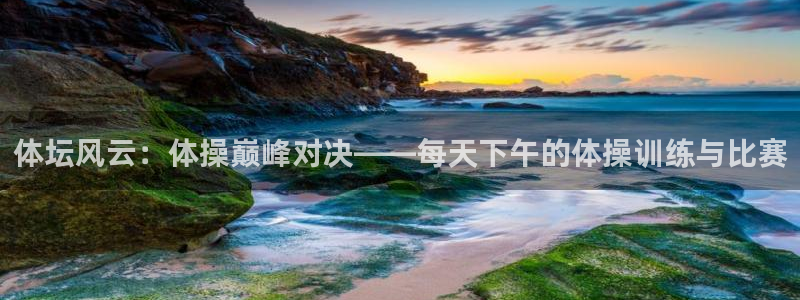 体坛风云：体操巅峰对决——每天下午的体操训练与比赛